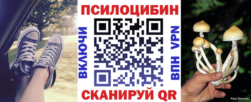 Псилоцибиновые грибы мицелий  мега ONION  Сафоново 